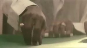 Basement Jaxx - Oh My Gosh (Official Video)