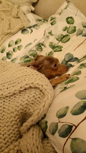 играем с пупсиком ( Ладой)