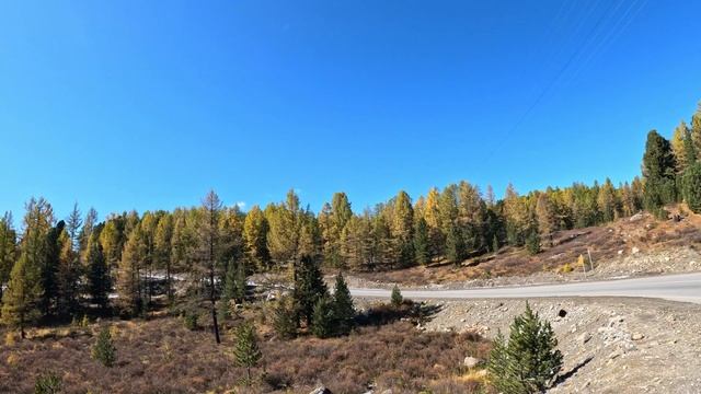 Осенний Алтай смотреть онлайн