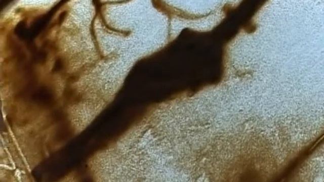 Арт-студия "Иллюзион" в гостях у ТРК "Истоки" смотреть онлайн