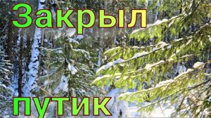 Закрываю путик дуплянками соболей начался ложный гон попался крупный кот удивила сойка залезла ящик