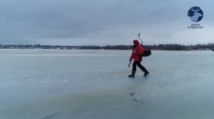 Палатки ПИНГВИН ролик