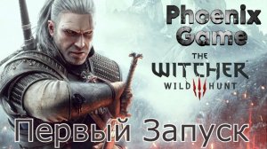 Ведьмаг 3 The Witcher Wild Hunt ЗАПИСЬ СТРИМА