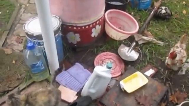 Прикол кошка испугалась курицы 1 часть смотреть онлайн