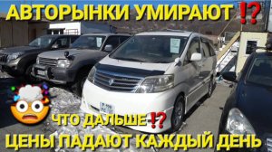 ЦЕНЫ ПАДАЮТ КАЖДЫЙ ДЕНЬ НА АВТО, РЫНКИ РУШАТСЯ, АВТОРЫНОК ВЛАДИВОСТОК 2025