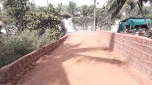 CLASSIC DE EVERGREEN GOA Morjim - Честный обзор, Номер, дорога на пляж.