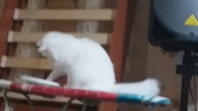 5 ноября 2020 г. смотреть онлайн