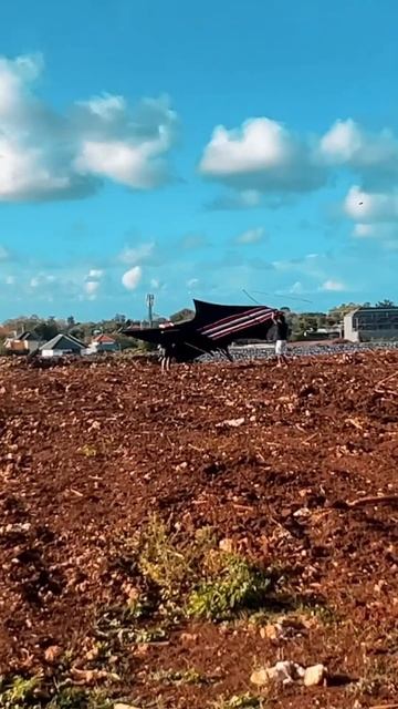 Некоторые змеи рождены летать! смотреть онлайн