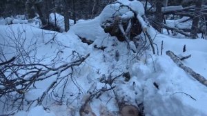 заготовка дров