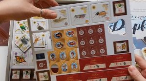 По стопам Дарвина. Обзор состава коробки.