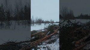 Сварщик с севера