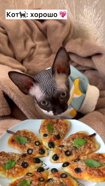 Лучший кот🐈⬛💖 подпишись❤️ #канадскийсфинкс #сфинкс #рилс #рекомендации #шортс смотреть онлайн