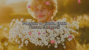 РОМАШКИ ОТ САШКИ