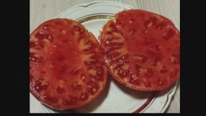 Каталог томатов 2024 года. Часть 11. Проверенные сорта. г. Киров