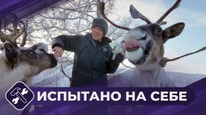 Испытано на себе: Оленеводы (часть 1)