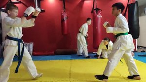 Показательное выступление спортсменов клуба Будо, Саратов. 
Ката и нунчаку.