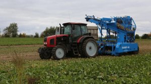 Свеклоуборочный комбайн ЗУБР 6 (аналог AMITY)