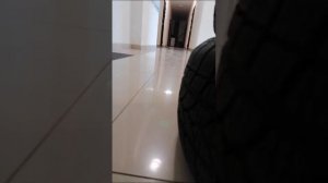 Прятки в подъезде