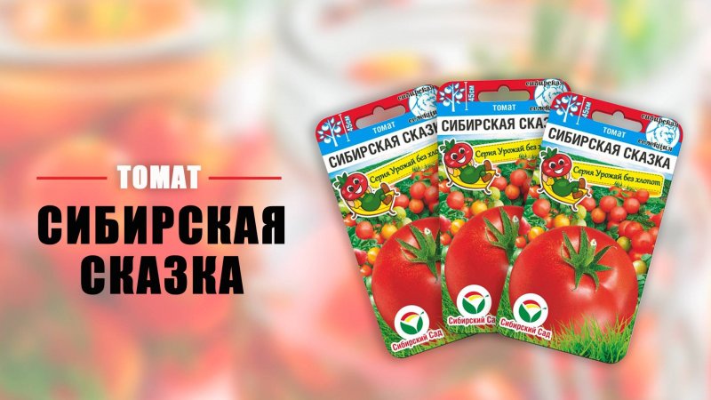 Томат СИБИРСКАЯ СКАЗКА от агрофирмы Сибирский Сад