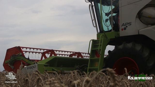 Claas Tucano 430|MB-TRANS AGRAR смотреть онлайн