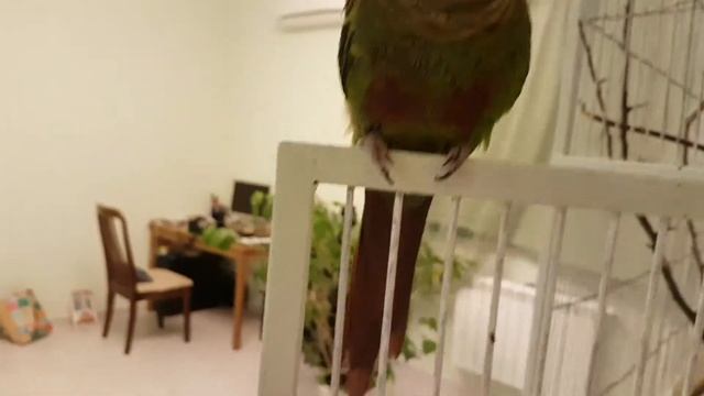 Zhora can hugs смотреть онлайн