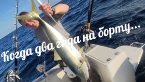 Морская рыбалка во Владивостоке #Лакедра