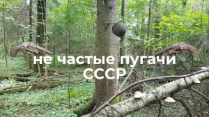 По лесам и полям. Нашёл 2 не частых пугача раннего СССР и царское серебро.