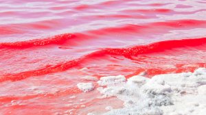Каспийское море окрасилось в красный цвет в Казахстане
