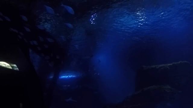 Путешествие в Испанию в июне 2018 года смотреть онлайн