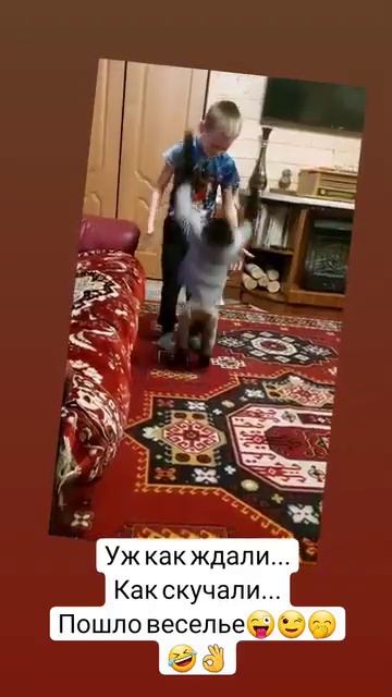 энрике приехал❤️🥰 #monkey #petmonkey #экзотика #animal #зоо #гиббон смотреть онлайн