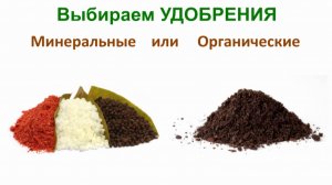 Удобрения минеральные или органические? Выбираем