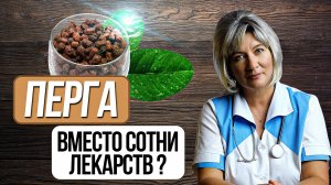 ПЕРГА ПЧЕЛИНАЯ полезные свойства, кому и как принимать, при каких заболеваниях, противопоказания