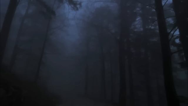 Архивы КГБ - Дело  28Н: Выживший - А.Друд. Ужасы тайги