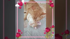 А я кайфую,мне по барабану.