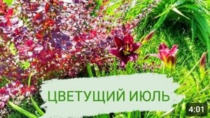 ЯРКИЙ ЦВЕТУЩИЙ ИЮЛЬ. 9.07.2023г.