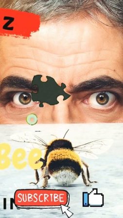 Man vs Bee 2022 - Netflix Rowan Atkinson #manvsbee #netflix #rowanatkinson xếp hình nè