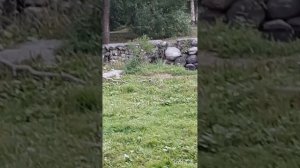 ПроПутешествия.Питер2024.Фильм14 .mp4