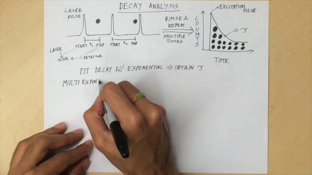 Fluorescence Lifetime Imaging Microscopy [FLIM] - Overview смотреть онлайн