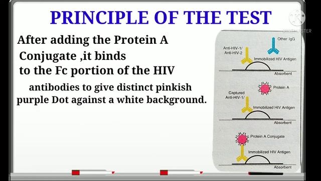 HIV TRI-DOT TEST PRINCIPLE AND PROCEDURE ||DMLT||BMLT||