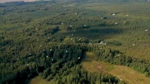 Премьера песни "Вернулся мама я домой!"