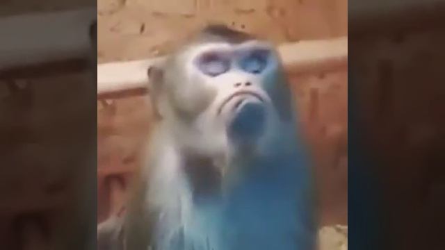 я обиделась ! смотреть онлайн