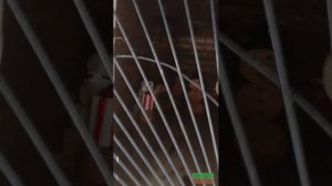 Васильево часть 3