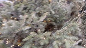 Фестиваль Зима в Москве. Арбат