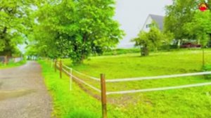 🇨🇭Тихая дождливая прогулка по сельской местности Швейцарии | Хальбинзель-Ау, Цюрих _ Цюрихзее