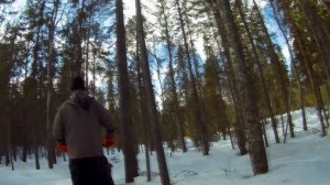 дача и поездка на озеро Смердье