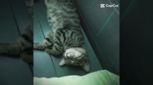 Мой пупсик💋🎀