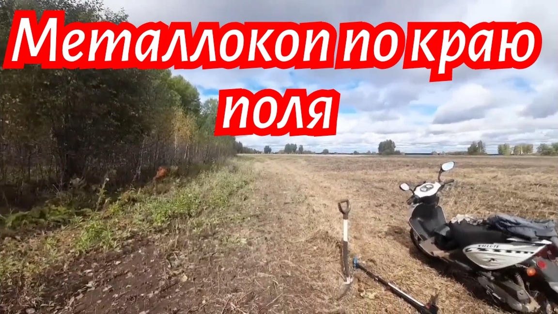 Металлокоп по краю поля.