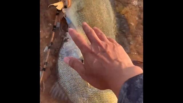 Fishing OKC Foss Lake смотреть онлайн