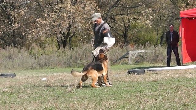 Maratti vom Frosten. Фактор (Большой Камень, 05.10.14) смотреть онлайн