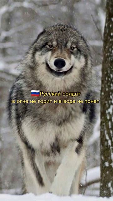 Ауф смотреть онлайн